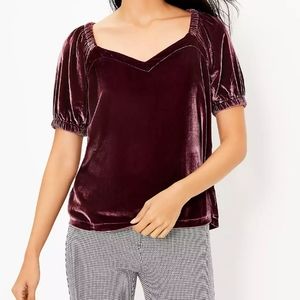 Velvet, square neck, puffed-sleeve top.